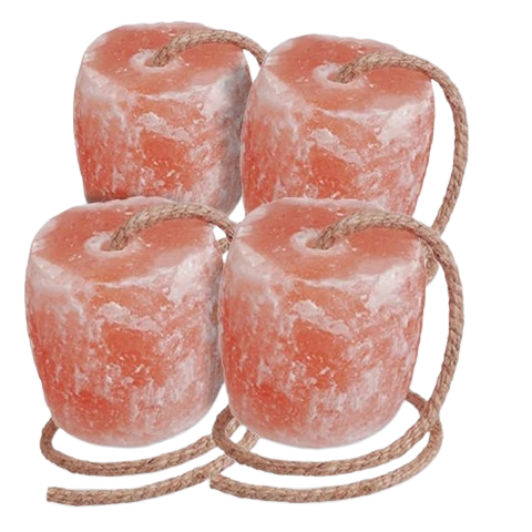 Himalayan Salt Lick